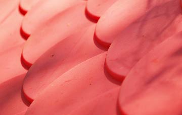 Shelley plastic roof costs