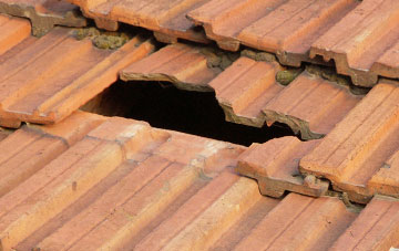 roof repair Shelley